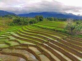 das Schönheit von das Morgen Panorama mit Sonnenaufgang im Indonesien Dorf foto