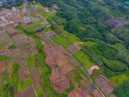 das Schönheit von das Morgen Panorama mit Sonnenaufgang im Indonesien Dorf foto