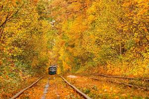 Herbst Wald durch welche ein alt Straßenbahn Fahrten Ukraine foto