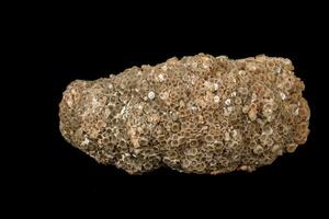 Makro Stein Aragonit Mineral auf ein schwarz Hintergrund foto