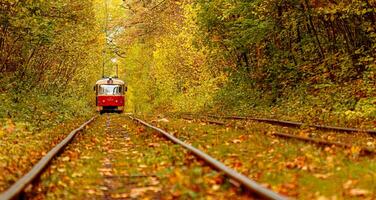 Herbst Wald durch welche ein alt Straßenbahn Fahrten Ukraine foto