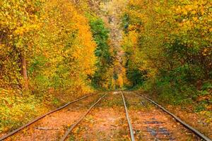 Herbst Wald durch welche ein alt Straßenbahn Fahrten Ukraine foto