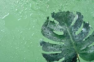 Grün nass Hintergrund mit Wasser Tropfen auf Glas und Monstera Blatt durch Glas. Grün Wasser Textur Hintergrund foto