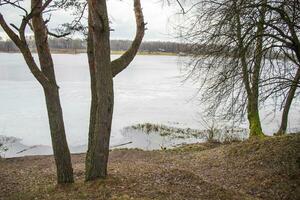 Landschaft Schuss von das See während kalt Jahreszeit. Natur foto