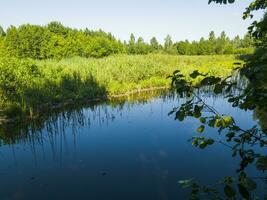 Landschaft Schuss von das Teich. draußen foto