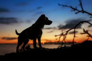 ai generiert Sonnenuntergang Hintergrund Farben ein heiter Silhouette von ein treu Hund foto