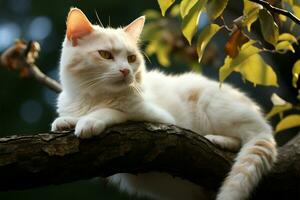 ai generiert katzenartig Anmut ein Weiß Katze Lounges auf ein Baum Zweig, präsentieren Ruhe foto