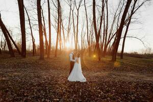 Hochzeit Foto. das Braut und Bräutigam sind Gehen im das Wald. das Bräutigam Umarmungen das Schultern von seine geliebte. lange Hochzeit Kleid. ein Paar im Liebe unter hoch Bäume. Herbst Sonnenlicht. foto