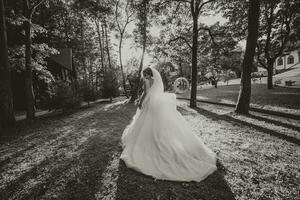 schön Braut im ein Hochzeit Kleid mit ein lange Zug Stehen zurück im das Wald. schwarz und Weiß Foto