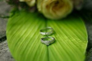 Paar von Hochzeit Ringe foto