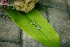 Paar von Hochzeit Ringe foto