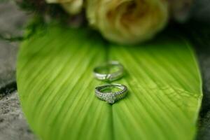 Paar von Hochzeit Ringe foto