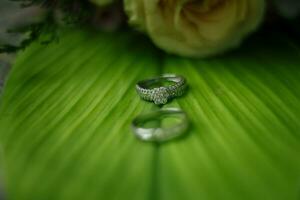 Paar von Hochzeit Ringe foto