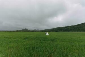 weiter Winkel Porträt von das Braut und Bräutigam Gehen auf ein Grün Wiese gegen das Hintergrund von Berge. Rückseite Sicht. großartig Kleid. stilvoll Bräutigam. Hochzeit Foto