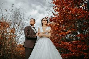 Hochzeit Paar auf ein gehen im das Herbst Park, Mittel Porträt, Platz zum Text foto