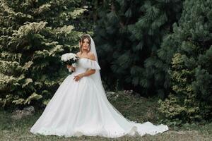 das Braut im ein voluminös Weiß Kleid und ein lange Schleier steht auf ein Hintergrund von Grün Nadelbäume mit ein Strauß von Weiß Rosen, halten ihr Kleid. Porträt von das Braut. schön bilden und Haar. foto