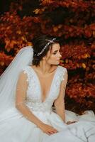 schön Braut im Herbst Wald im lange Spitze Kleid halten Schleier im Herbst Wald. halblang foto