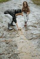 zwei glücklich wenig Mädchen von europäisch Aussehen spielen im Pfützen während Regen im Sommer. Kinder sind spielen im das Regen. Kind spielen im Natur draußen. das Mädchen genießt das Regen. foto