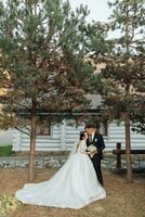 Hochzeit Porträt im Natur. das Brünette Braut und Bräutigam im ein Weiß lange Kleid sind Stehen, halten Hände gegen das Hintergrund von Nadelbäume und ein Weiß Hütte. stilvoll Bräutigam. foto