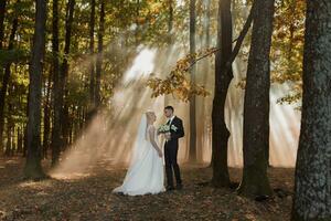 das Braut und Bräutigam sind Tanzen gegen das Hintergrund von ein Märchen Nebel im das Wald. das Strahlen von das Sonne brechen durch das Rauch, ein Märchen Hochzeit foto