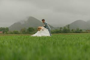 weiter Winkel Porträt von das Braut und Bräutigam Gehen auf ein Grün Wiese gegen das Hintergrund von Berge. Rückseite Sicht. großartig Kleid. stilvoll Bräutigam. Hochzeit Foto