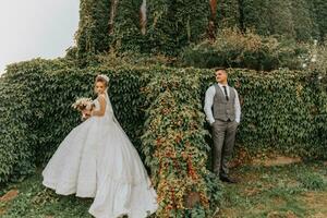 Braut und Bräutigam im das Garten unter Grün. königlich Hochzeit Konzept. schick Braut Kleid mit ein lange Zug. Zärtlichkeit und Ruhe. Porträt Fotografie foto