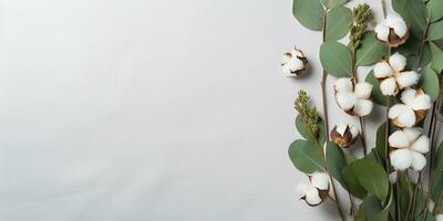 ai generiert eben legen mit Eukalyptus Blätter und Baumwolle Blumen auf ein Weiß Hintergrund. ästhetisch Rahmen von Eukalyptus Blätter, Rand foto