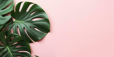 ai generiert eben legen, Monstera Blätter auf ein Rosa Hintergrund. tropisch Blatt Rand mit Raum zum Text foto