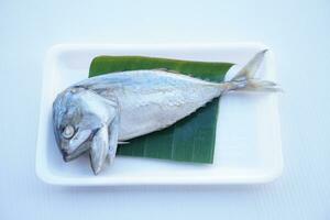 gedämpft Makrele Fisch auf Grün Banane Blatt , verpackt auf Schaum Tablett zum Verkauf, bereit zum Kochen. Konzept, thailändisch Stil von Essen Paket Design zu verkaufen beim Markt. Essen Zutat. foto