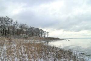 See Ufer, schön Winter Landschaft, Bäume abgestaubt mit Weiß Schnee, niedrig Wolken foto