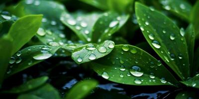 ai generiert frisch Grün Blätter mit Wasser Tröpfchen. schließen oben von Blatt mit Regentropfen. generativ ai foto