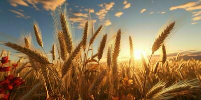 ai generiert Weizen Felder mit ein schön Sonnenuntergang Sicht. generativ ai foto