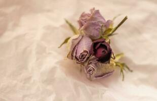 Konzept Schuss von das Hintergrund Thema, Verpackung Papier, getrocknet Rosen andere Blumen und andere Anordnungen. Liebe foto