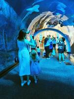 Dubai, VAE - - 14.07.2022 - - Besucher beim Dubai Aquarium Attraktion. Wahrzeichen foto