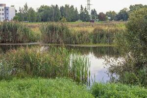 Landschaft Schuss von das schön Park. draußen foto