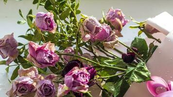 Konzept Schuss von das Hintergrund Thema, Verpackung Papier, getrocknet Rosen andere Blumen und andere Anordnungen. Valentinsgrüße Tag foto