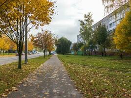 Schuss von das bunt Herbst Bäume. Natur foto