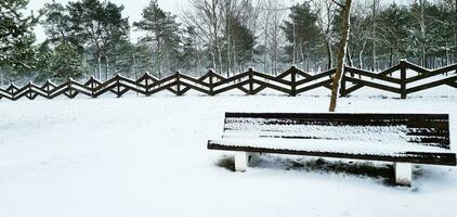 Schuss von das draussen Winter Szene im das ländlich Dorf. Natur foto