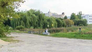 Landschaft Schuss von das schön Park. draussen foto