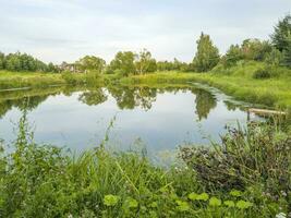 Landschaft Schuss von das Teich. Natur foto