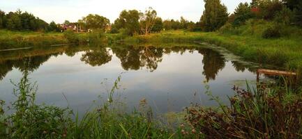 Landschaft Schuss von das Teich. draußen foto