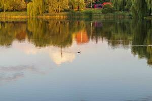 Landschaft Schuss von das schön Park. draußen foto