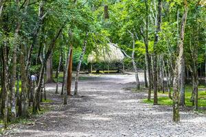 Palapa Hütte Haus Kabine im tropisch Urwald coba Ruinen Mexiko. foto