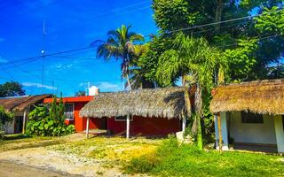 typische bunte straße straßenverkehr autos palmen von tulum mexiko. foto