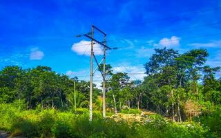 Elektrizität Pylon Leistung Pole im das tropisch Urwald Wald Mexiko. foto