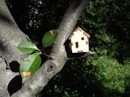 Holzhaus auf einem Ast foto