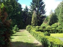 Parklandschaftskunst Gartengestaltung foto