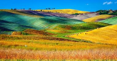 schöne Agrarlandschaft foto