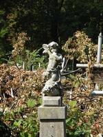 Kreuze auf Gräbern Friedhof und Zäunen foto