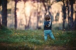 wenig Junge im das Wald foto